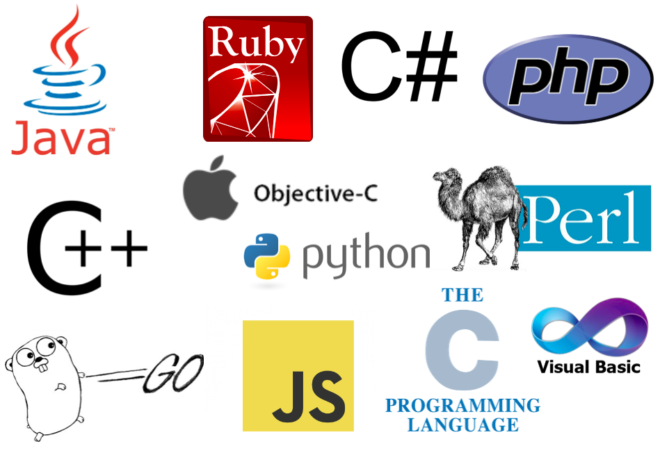 Top Programming Languages